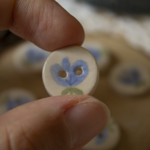Boutons fleur bleue